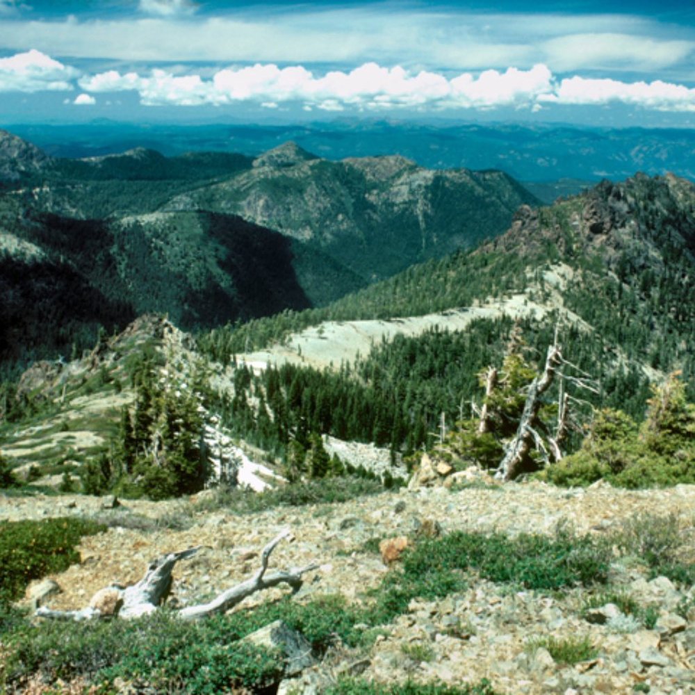 Meet your Posher, Keely